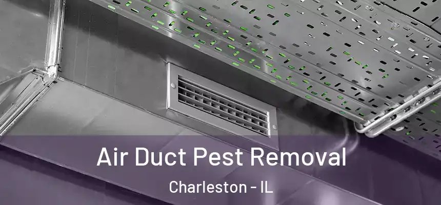 Air Duct Pest Removal Charleston - IL