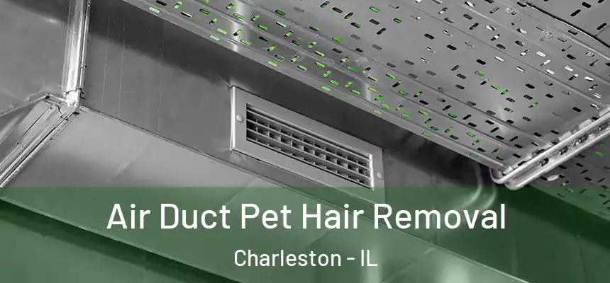 Air Duct Pet Hair Removal Charleston - IL