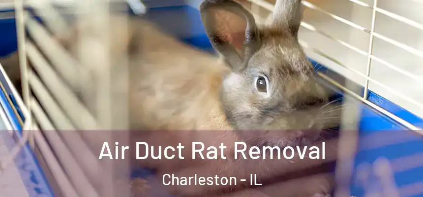  Air Duct Rat Removal Charleston - IL