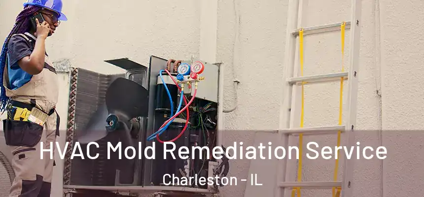  HVAC Mold Remediation Service Charleston - IL