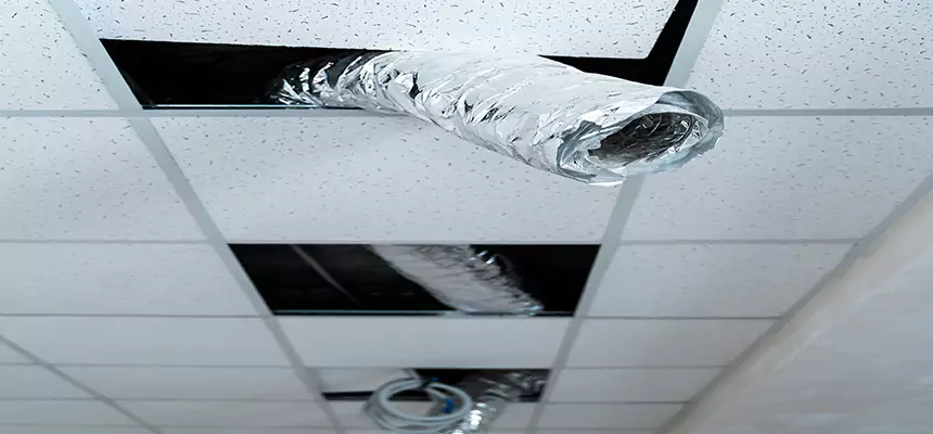 Our Air Duct Pet Hair Removal Services in Charleston, IL