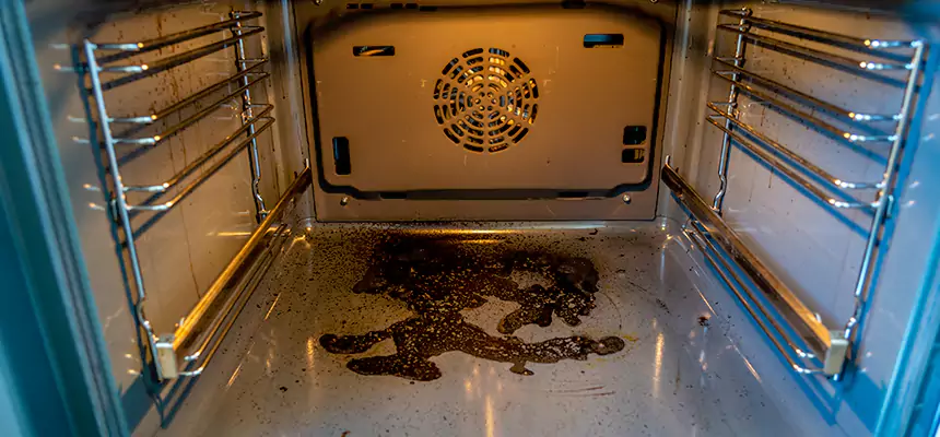 Our Dryer Vent Mold Cleaning Services in Charleston, IL