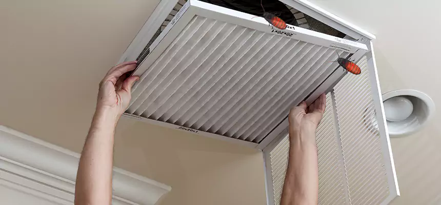 Our Insect Removal from Air Ducts Services in Charleston, IL