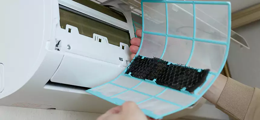 Gentle Ductwork Odor-Control Pet Dander Duct Cleaning in Charleston, IL