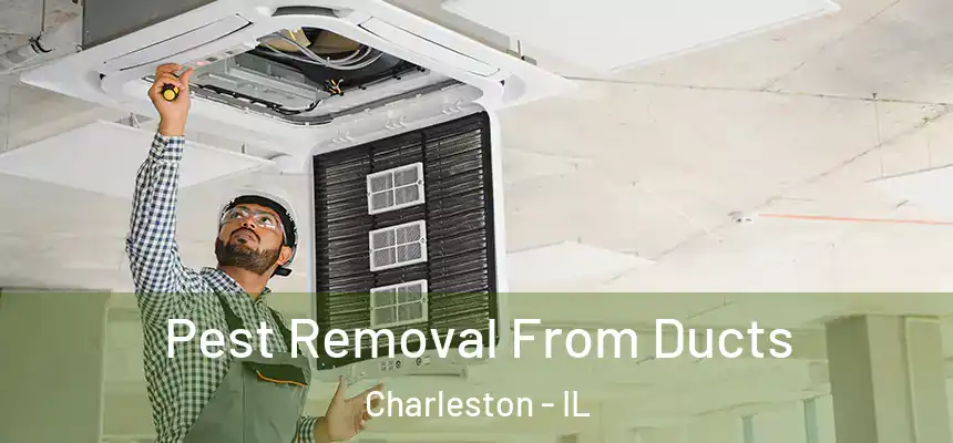 Pest Removal From Ducts Charleston - IL
