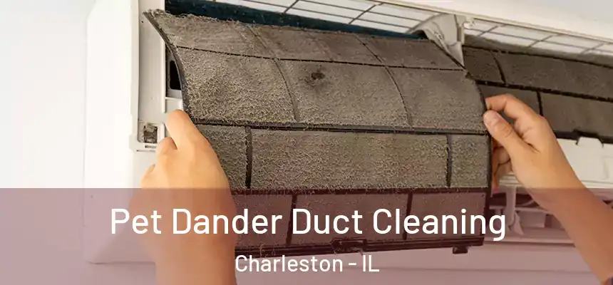  Pet Dander Duct Cleaning Charleston - IL