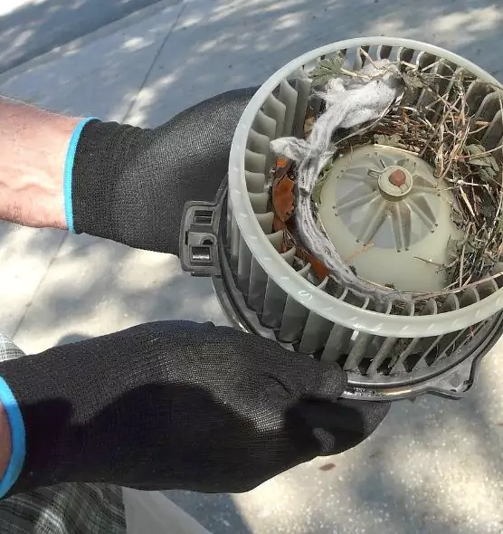 About Air Duct Rat Removal in Charleston, IL