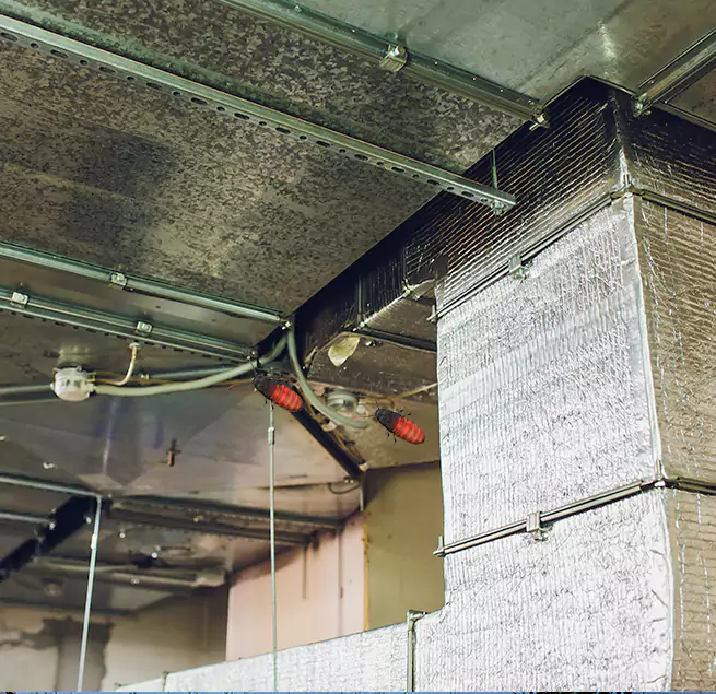 Why Homeowners & Businesses Trust Us in Charleston, IL?