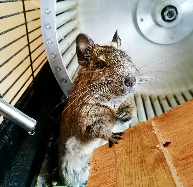 Why Homeowners & Businesses Trust Us Charleston, IL