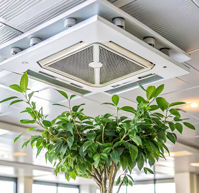 Why Homeowners & Businesses Trust Us in Charleston, IL?